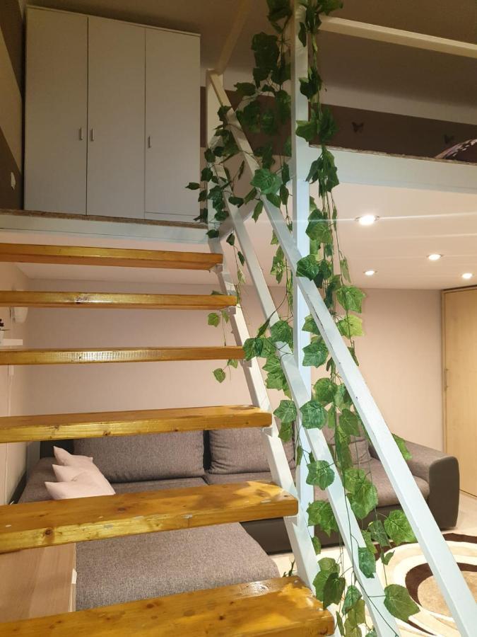 Apartament In Downtown *