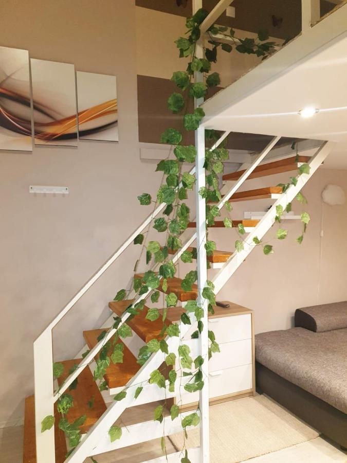 In Downtown Appartement *